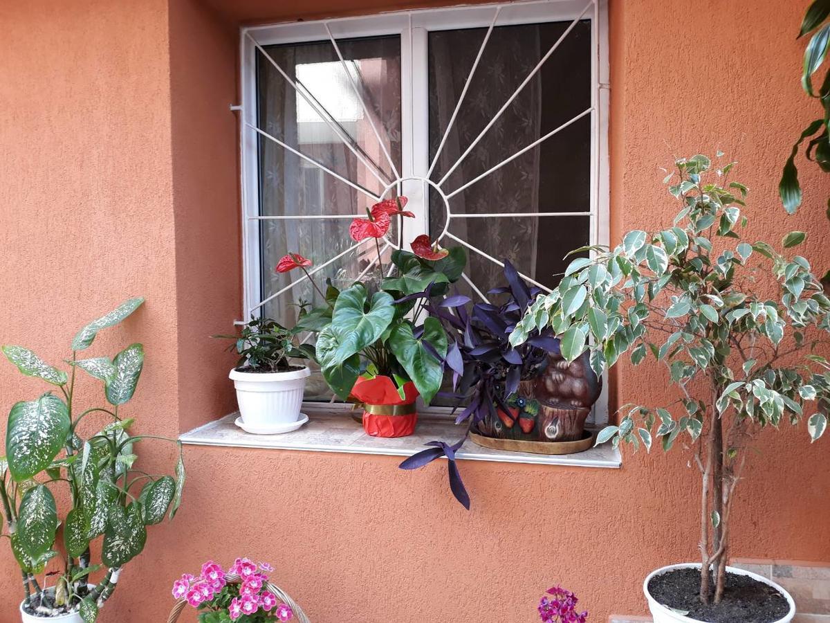 Guest House Yanina Sozopol Buitenkant foto